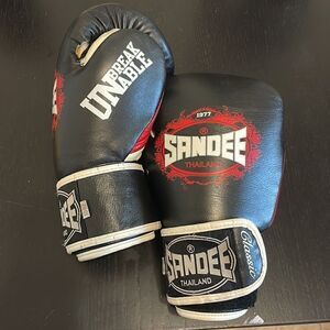 Sandee Muay Thai Gloves 10 oz.